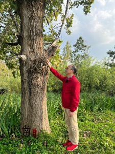 易川凿昆明理工大学，云南省易经大师排名表最新插图1