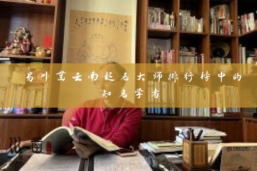 易川凿云南起名大师排行榜中的知名学者插图
