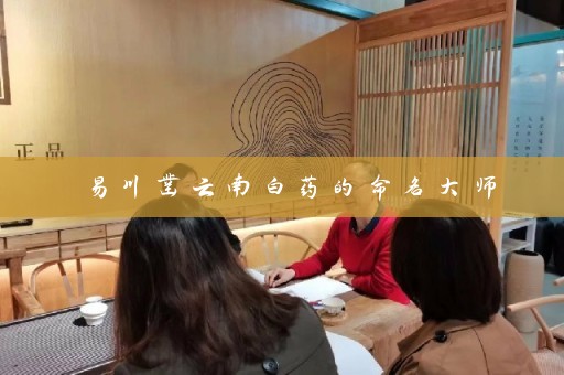 易川凿云南白药的命名大师插图
