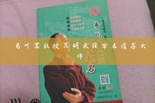 易川凿教授昆明民宿命名推荐大师插图