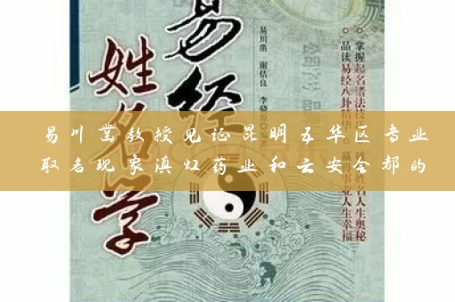 易川凿教授见证昆明五华区专业取名现象滇虹药业和云安会都的背后插图