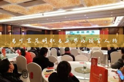 易川凿昆明取名业界的领军人物插图