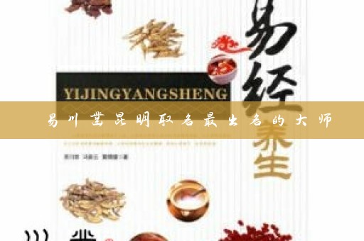 易川凿昆明取名最出名的大师插图