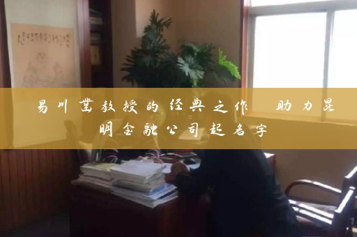 易川凿教授的经典之作 助力昆明金融公司起名字插图