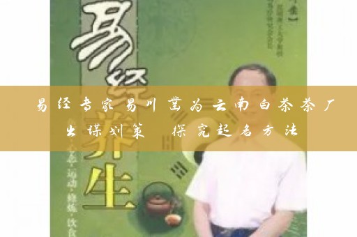 易经专家易川凿为云南白茶茶厂出谋划策 探究起名方法插图