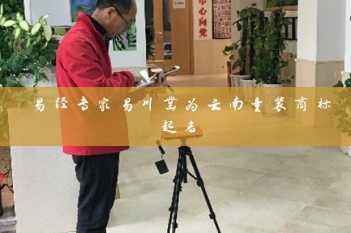 易经专家易川凿为云南童装商标起名插图