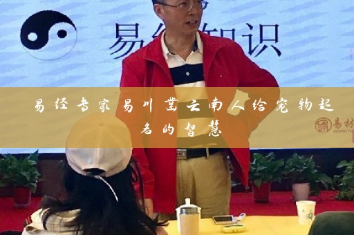 易经专家易川凿云南人给宠物起名的智慧插图