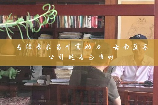 易经专家易川凿助力 云南蓝莓公司起名正当时插图