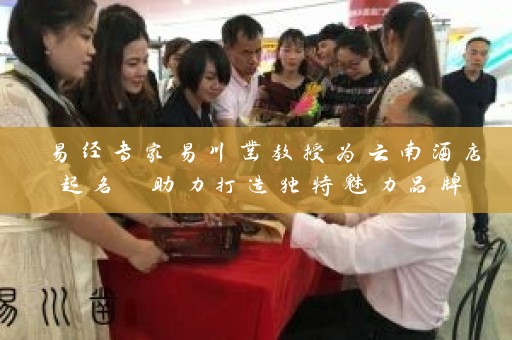 易经专家易川凿教授为云南酒店起名 助力打造独特魅力品牌插图