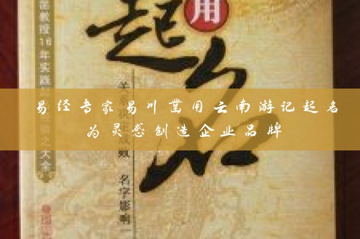 易经专家易川凿用云南游记起名为灵感创造企业品牌插图