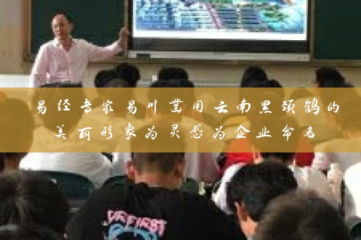 易经专家易川凿用云南黑颈鹤的美丽形象为灵感为企业命名插图