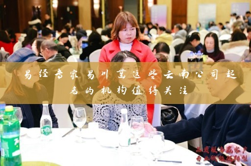 易经专家易川凿这些云南公司起名的机构值得关注插图