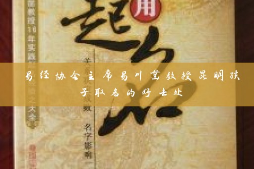 易经协会主席易川凿教授昆明孩子取名的好去处插图
