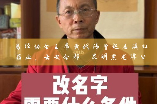 易经协会主席黄代清曾起名滇虹药业、云安会都 昆明黑龙潭公园取名叫什么插图