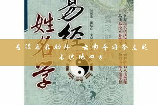 易经名家助阵 云南普洱茶庄起名惊艳四方插图