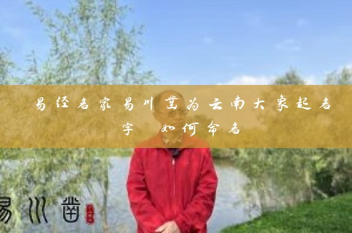 易经名家易川凿为云南大象起名字 如何命名插图