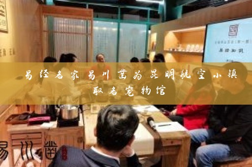 易经名家易川凿为昆明航空小镇取名宠物馆插图