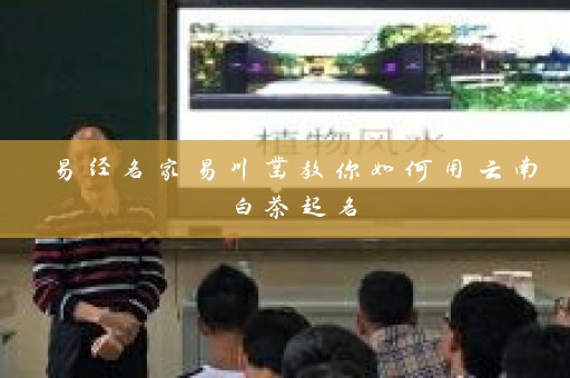 易经名家易川凿教你如何用云南白茶起名插图