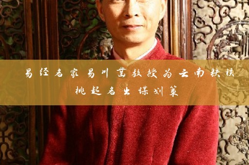 易经名家易川凿教授为云南铁核桃起名出谋划策插图