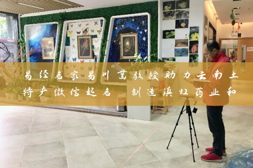 易经名家易川凿教授助力云南土特产微信起名 创造滇虹药业和云安会都这两大品牌插图