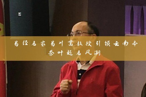 易经名家易川凿教授引领云南本茶叶起名风潮插图