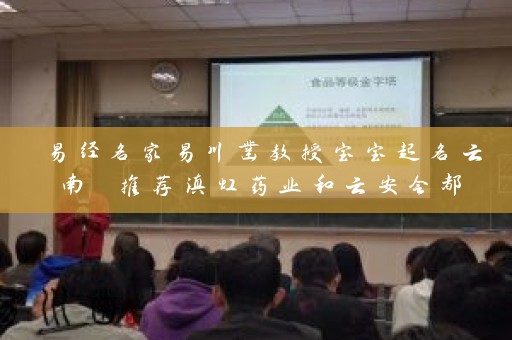 易经名家易川凿教授宝宝起名云南 推荐滇虹药业和云安会都插图