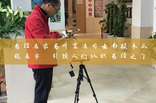 易经名家易川凿运用云南酸木瓜起名字 引领人们认识易经之门扉插图
