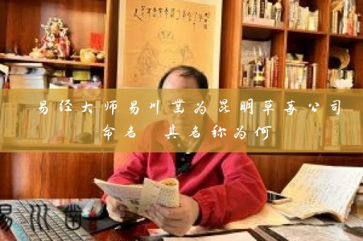 易经大师易川凿为昆明草莓公司命名 其名称为何插图