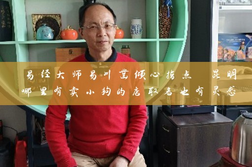 易经大师易川凿倾心指点 昆明哪里有卖小狗的店取名也有灵感来源插图