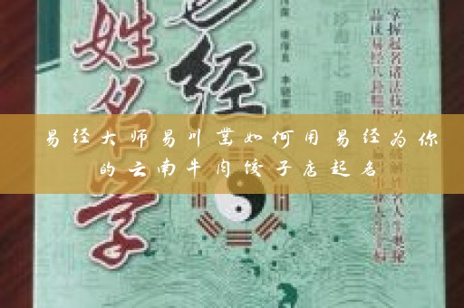 易经大师易川凿如何用易经为你的云南牛肉饺子店起名插图