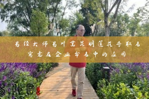 易经大师易川凿昆明莲花寺取名寓意在企业命名中的应用插图
