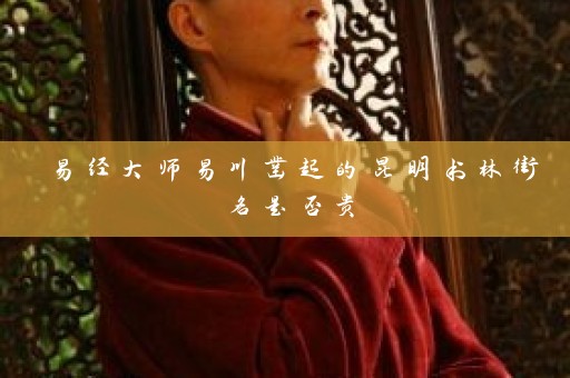 易经大师易川凿起的昆明书林街名是否贵插图