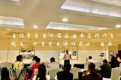 易经学者易川凿为云南药材网店起名 妙手定名滇虹药业、云安会都插图