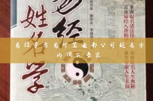易经学者易川凿云南公司起名字的顶尖专家插图