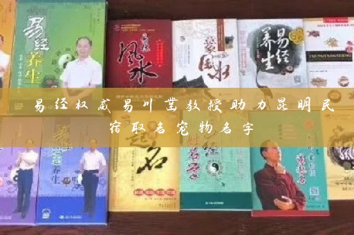 易经权威易川凿教授助力昆明民宿取名宠物名字插图