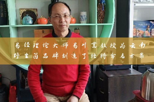 易经理论大师易川凿教授为云南野生菌品牌创造了独特命名方案揭秘滇虹药业和云安会都成功案例 附云南野生菌品牌起名大全插图