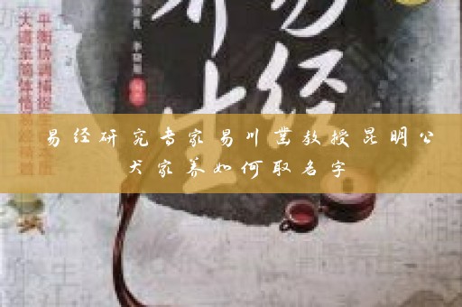 易经研究专家易川凿教授昆明公犬家养如何取名字插图