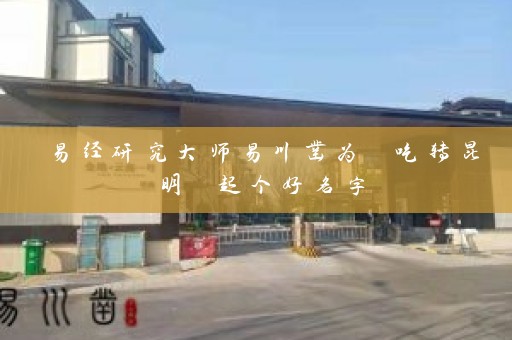 易经研究大师易川凿为 吃转昆明 起个好名字插图