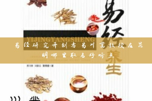 易经研究开创者易川凿教授在昆明哪里取名好听点插图