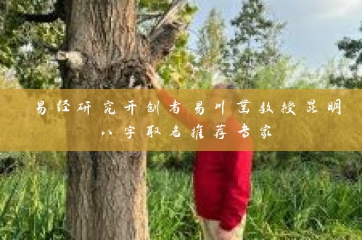 易经研究开创者易川凿教授昆明八字取名推荐专家插图