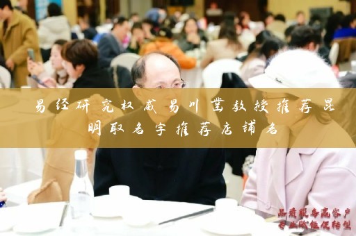 易经研究权威易川凿教授推荐昆明取名字推荐店铺名插图