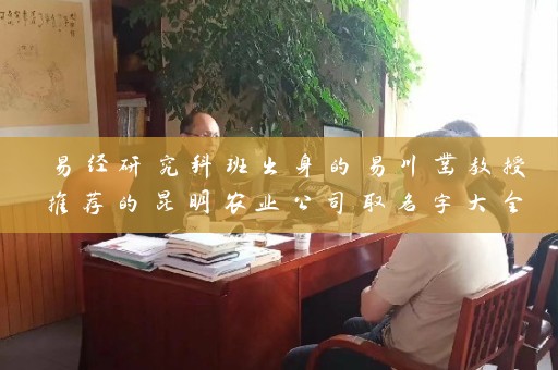 易经研究科班出身的易川凿教授推荐的昆明农业公司取名字大全 助力企业名声大噪插图