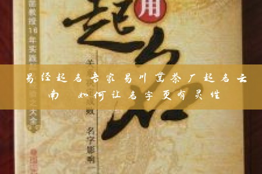 易经起名专家易川凿茶厂起名云南 如何让名字更有灵性插图