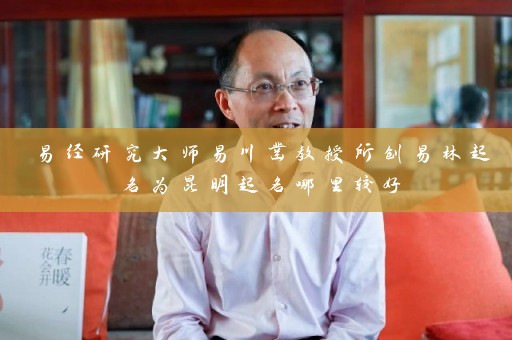 易经研究大师易川凿教授所创易林起名为昆明起名哪里较好插图