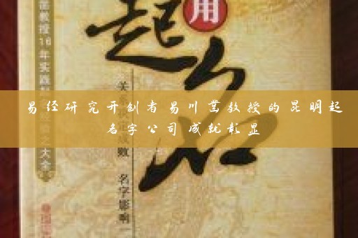 易经研究开创者易川凿教授的昆明起名字公司成就彰显插图