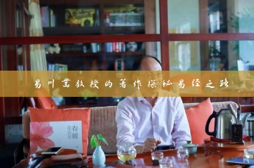 易川凿教授的著作探秘易经之路插图